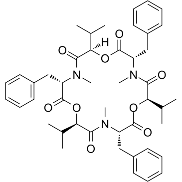beauvericin Structure