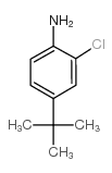4-叔丁基-2-氯苯胺结构式