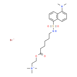 (1-(5-dimethylaminonaphthalene)sulfonamido)-n-hexanoic acid-beta-N-trimethylammonium ethyl ester Structure