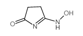 2-Hydroxyimino-5-oxopyrrolidine结构式
