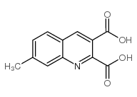 7-Methylquinoline-2,3-dicarboxylic acid Structure