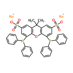 9H-Xanthene-2,7-disulfonic acid,4,5-bis(diphenylphosphino)-9,9-dimethyl-, disodium salt Structure