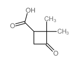 2,2-二甲基-3-氧代环丁烷-1-羧酸结构式