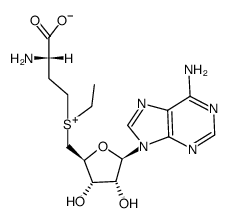 S-adenosylethionine structure