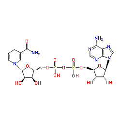 58-68-4 structure