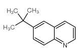 6-tert-butyl quinoline picture
