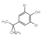 2,6-二溴-4-叔丁基苯酚结构式