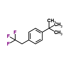 1-(2-Methyl-2-propanyl)-4-(2,2,2-trifluoroethyl)benzene Structure