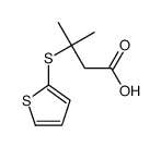 3-methyl-3-thiophen-2-ylsulfanylbutanoic acid Structure