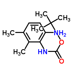 2-Methyl-2-propanyl (6-amino-2,3-dimethylphenyl)carbamate结构式
