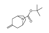 3-亚甲基-8-氮杂双环[3.2.1]辛烷-8-羧酸叔丁酯结构式