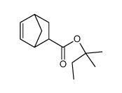 2-methylbutan-2-yl bicyclo[2.2.1]hept-2-ene-5-carboxylate Structure