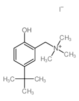 (2-hydroxy-5-tert-butyl-phenyl)methyl-trimethyl-azanium结构式