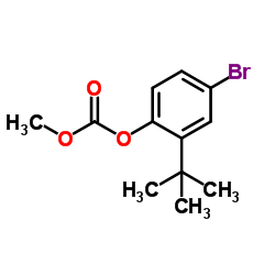 4-Bromo-2-(2-methyl-2-propanyl)phenyl methyl carbonate Structure