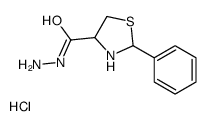 2-phenyl-1,3-thiazolidine-4-carbohydrazide,hydrochloride Structure