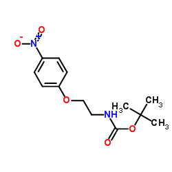 (2-(4-硝基苯氧基)乙基)氨基甲酸叔丁酯图片