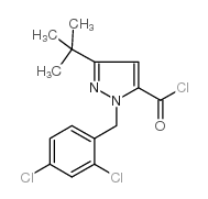 3-叔丁基-1-(2,4-二氯苄基)-1H-吡唑-5-羰酰氯结构式