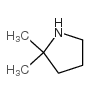 2,2-DiMethylpyrrolidine Structure