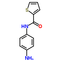 THIOPHENE-2-CARBOXYLIC ACID (4-AMINO-PHENYL)-AMIDE Structure