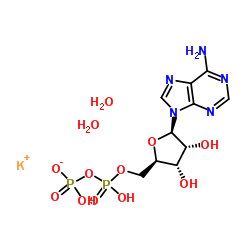腺苷5-二磷酸钾结构式