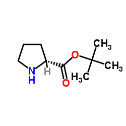 D-脯氨酸叔丁酯图片