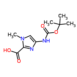 4-叔丁氧羰基氨基-1-甲基-1H-咪唑-2-甲酸结构式