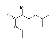 ethyl 2-bromo-5-methylhexanoate Structure