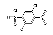 5-chloro-2-methoxy-4-nitrobenzenesulfonyl chloride Structure