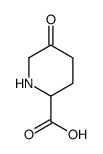 5-Oxo-piperidine-2-carboxylic acid Structure