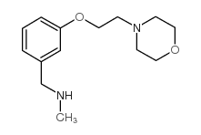 N-甲基-n-[3-(2-吗啉-4-基乙氧基)苄基]胺结构式