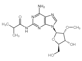 2-amino-n2-isobutyryl-2'-o-methyladenosine picture