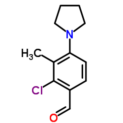 2-CHLORO-3-METHYL-4-PYRROLIDIN-1-YL-BENZALDEHYDE Structure