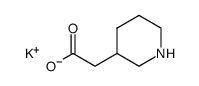 piperidin-3-ylacetic acid potassium salt Structure