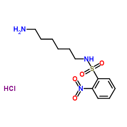 N-(6-Aminohexyl)-2-nitrobenzenesulfonamide Hydrochloride Structure