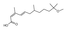 (2Z,4E)-()-11-methoxy-3,7,11-trimethyldodeca-2,4-dienoic acid结构式