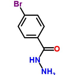 4-bromobenzhydrazide structure