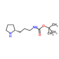 (R)-(3-吡咯烷基-2-基-丙基)-氨基甲酸叔丁酯结构式