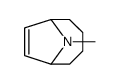 9-methyl-9-azabicyclo[4.2.1]non-7-ene Structure