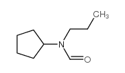 Formamide, N-cyclopentyl-N-propyl- (9CI) Structure