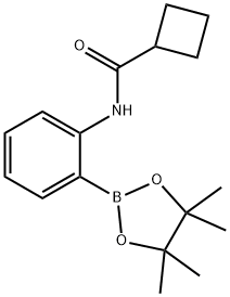 2-(环丁基甲酰胺基)苯硼酸频哪醇酯结构式
