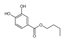 butyl 3,4-dihydroxybenzoate Structure