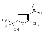 5-叔丁基-2-甲基呋喃-3-羧酸结构式