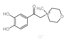 Morpholinium, 4-(2-(3,4-dihydroxyphenyl)-2-oxoethyl)-4-methyl- Structure