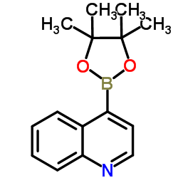 Quinoline-4-boronic acid pinacol ester Structure