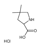 (2S)-4,4-dimethylpyrrolidine-2-carboxylic acid,hydrochloride Structure