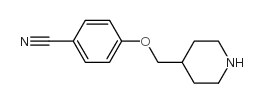 4-(Piperidin-4-ylmethoxy)-benzonitrile结构式