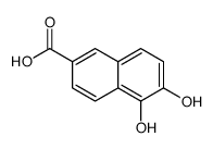 2-Naphthalenecarboxylic acid, 5,6-dihydroxy- (9CI) Structure