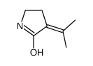 2-Pyrrolidinone,3-(1-methylethylidene)-(9CI)结构式
