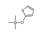 trimethyl(thiophen-2-yloxy)silane结构式