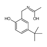 N-[(5-tert-butyl-2-hydroxyphenyl)methyl]acetamide结构式